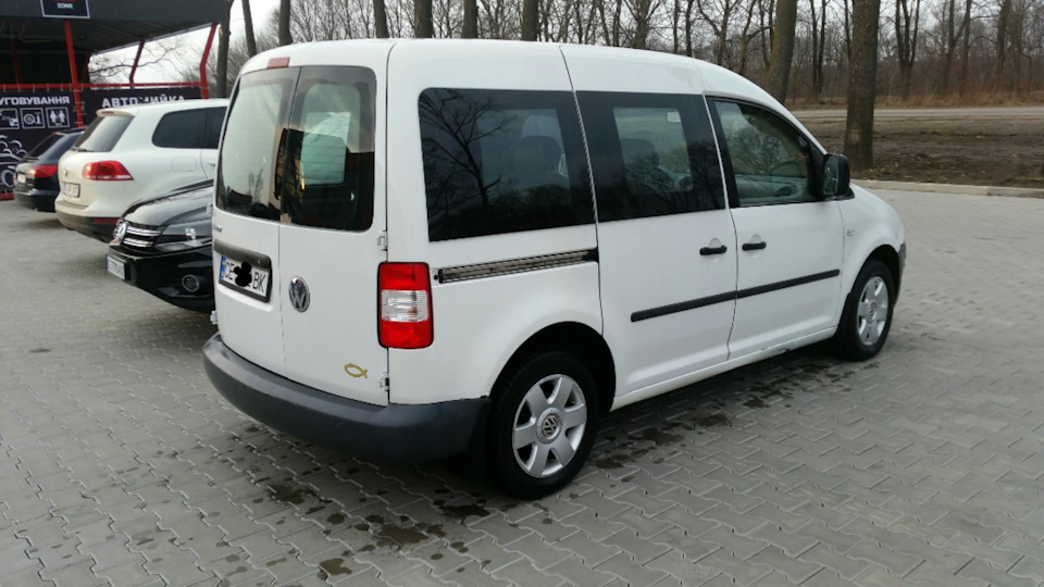 Купив caddy білку 2