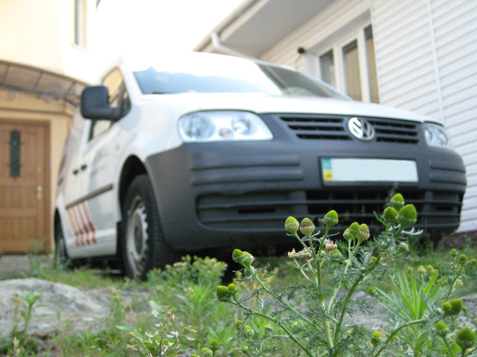 Фото Caddy і не тільки. 5
