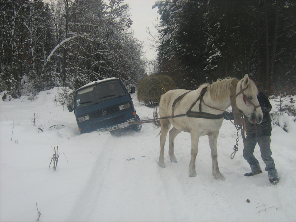 Їзда взимку лісом 3