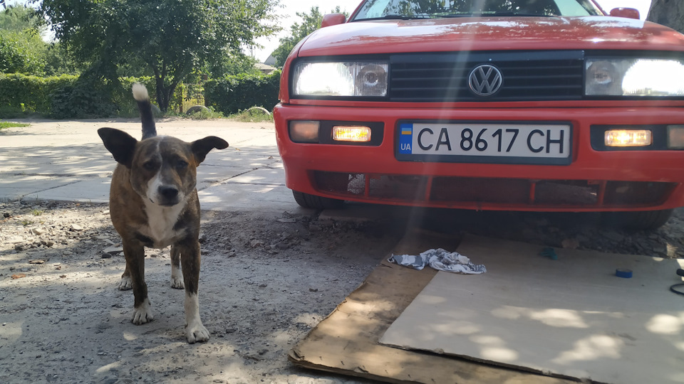 Даю світло! 5