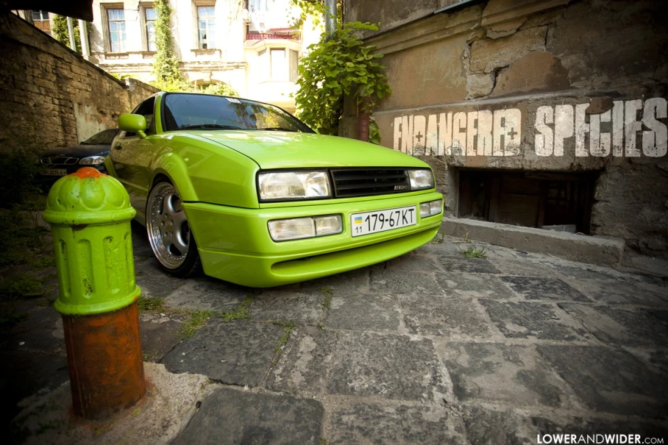 Featured at lowerandwider.com