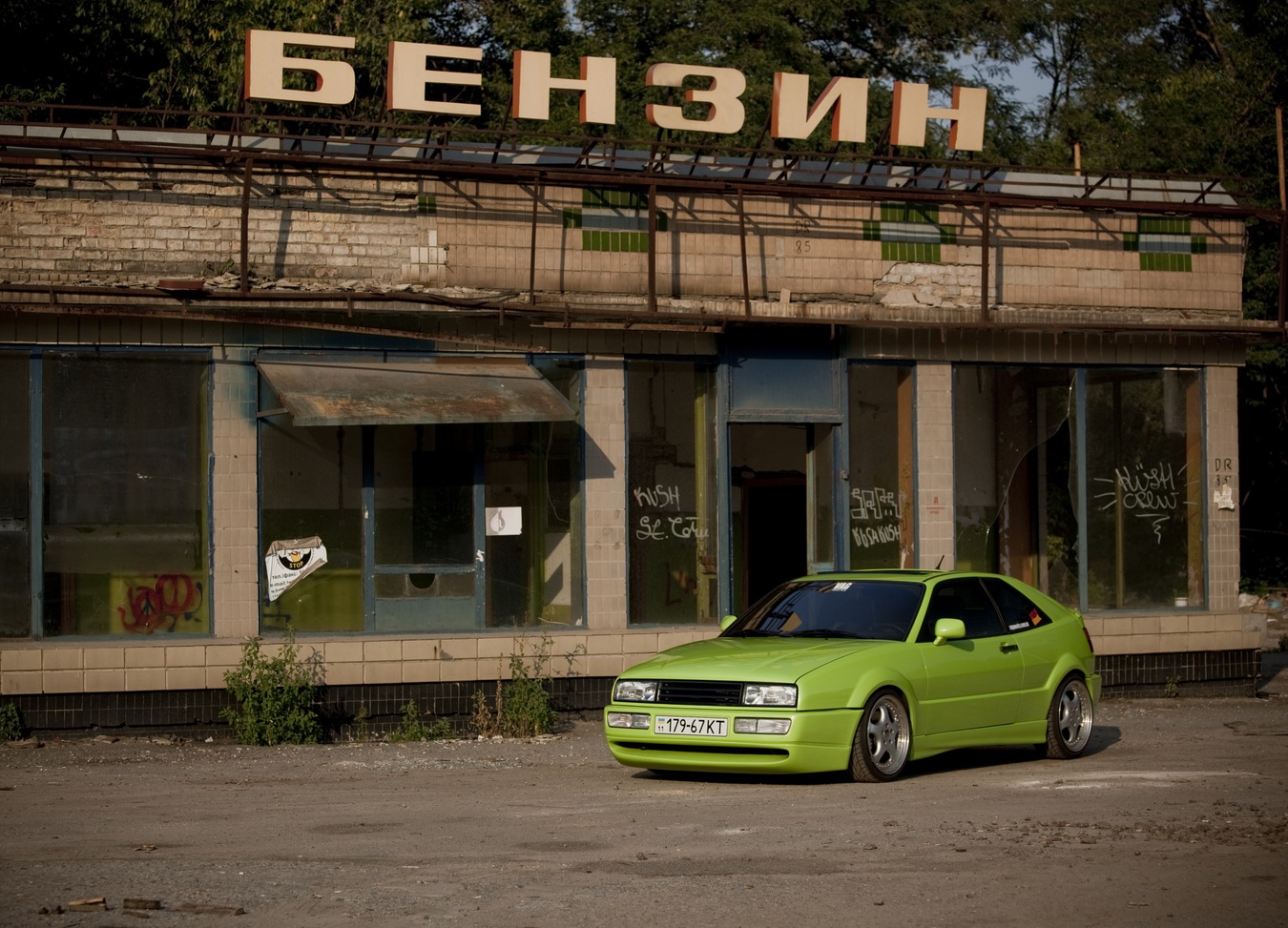 Трохи природи 1