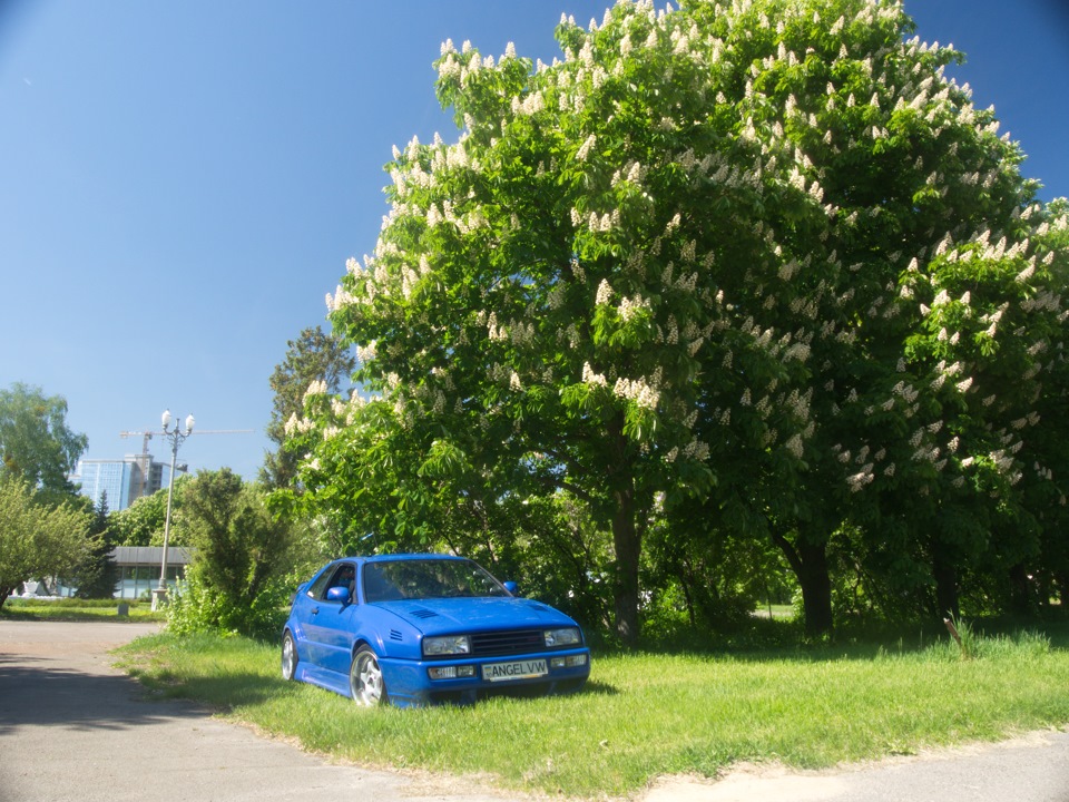 CORRADO ANGEL VW в деталях. Частина 15 - Весна в Києві... 4