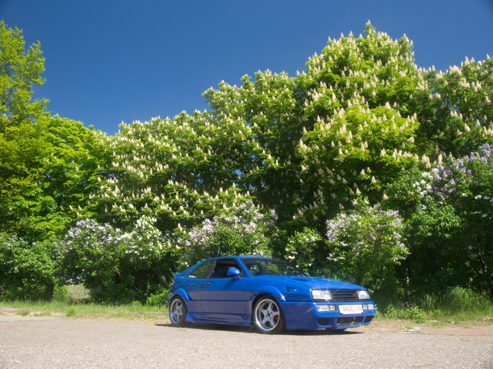 CORRADO ANGEL VW в деталях. Частина 15 - Весна в Києві... 3