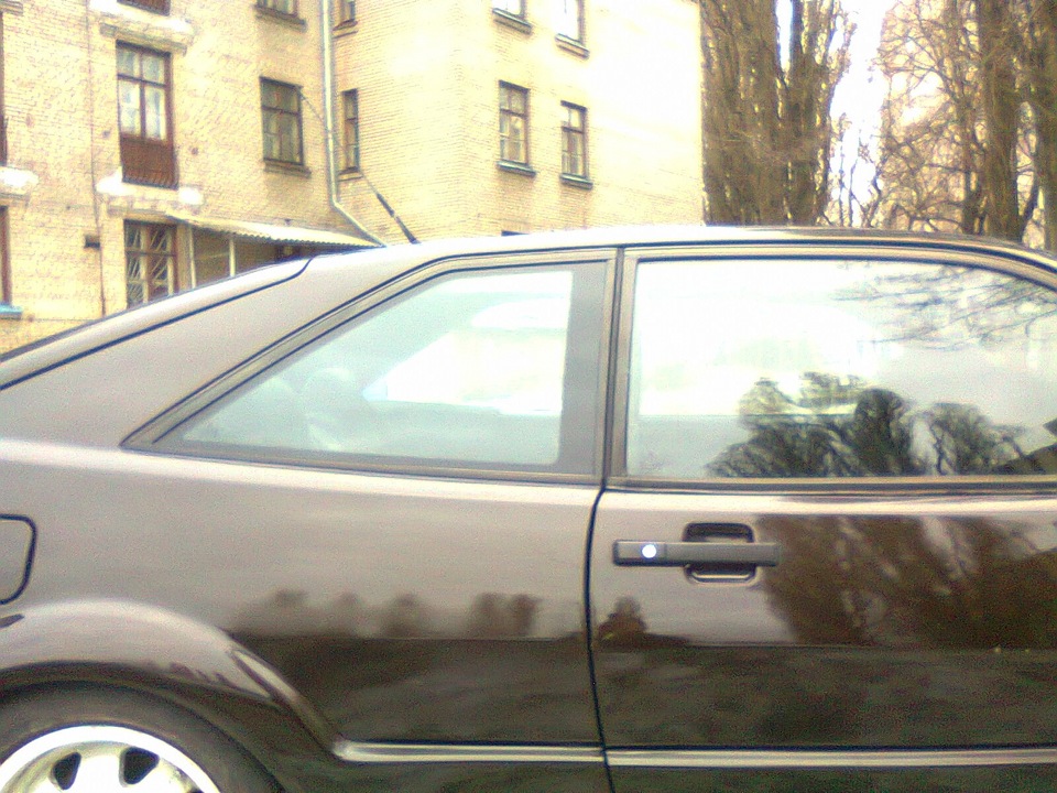 Засидівся, або в акваріумі по життю... 2