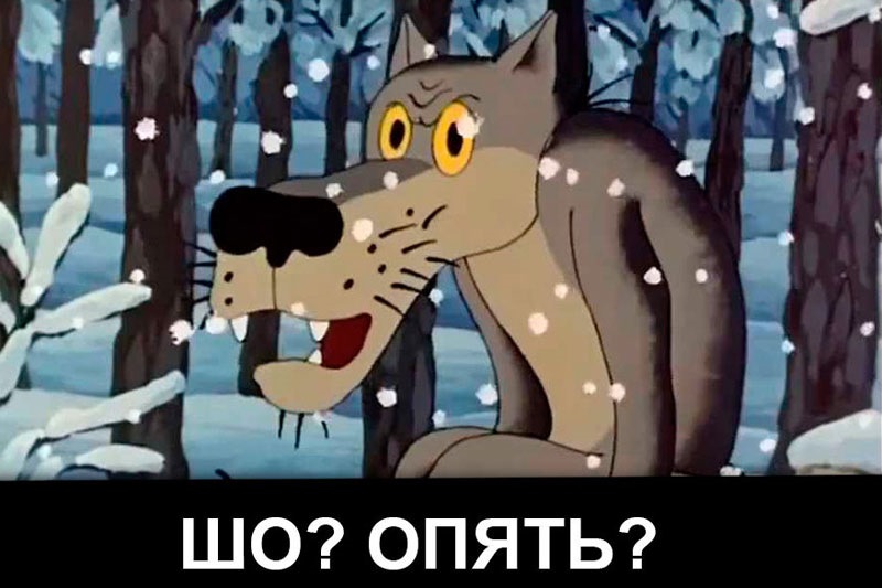 Поставив Koni 5