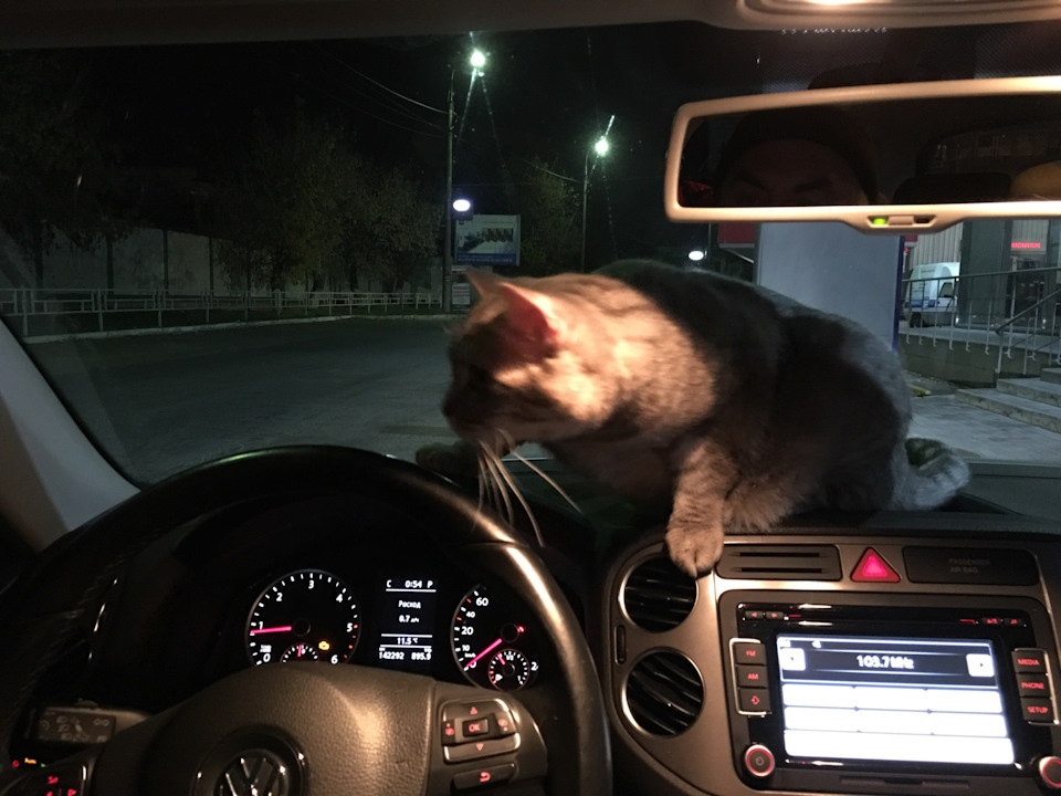 Щось знову пішло не так… 3