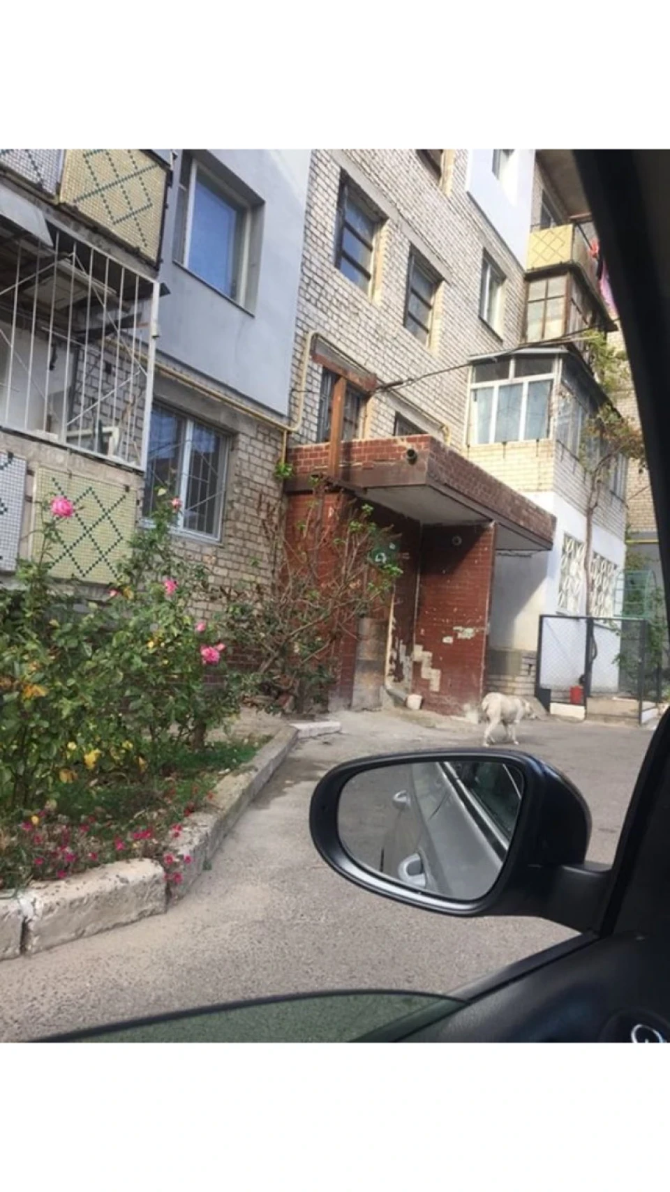 Сп*здили дзеркала або як я купив і знайшов закладку