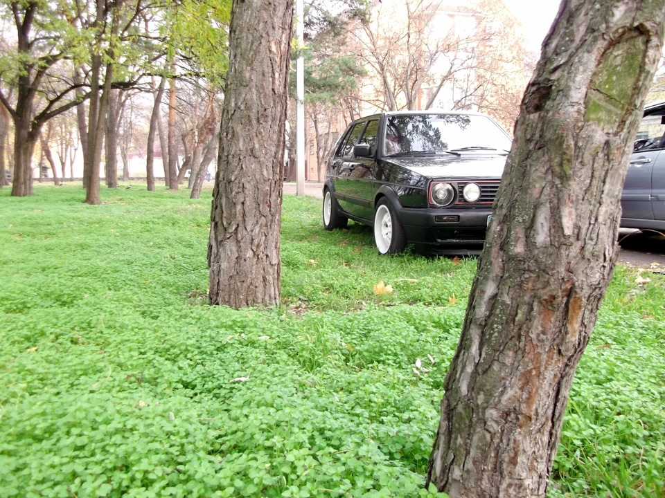 Звіт за останні час і Осінні фото) 2