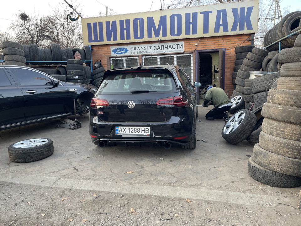 Остини в сріблі на зиму 1