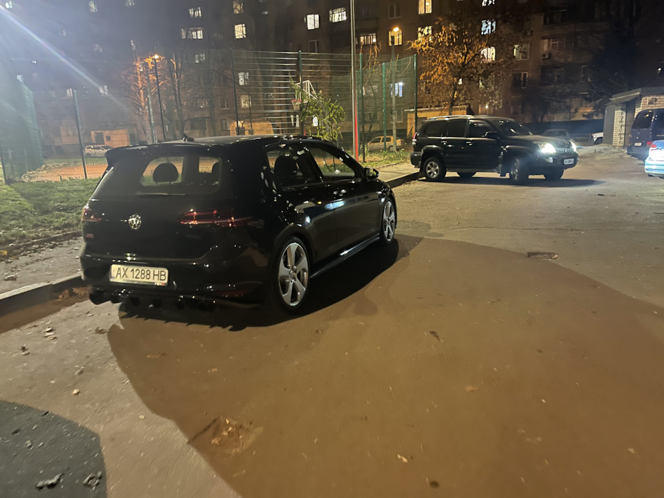 Остини в сріблі на зиму 2