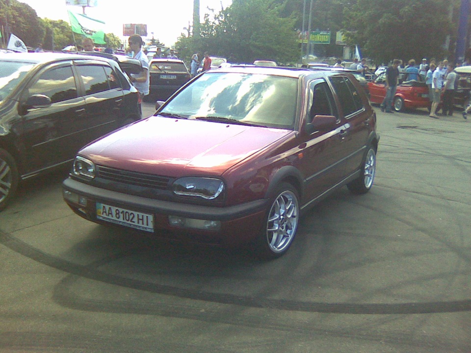 фест 2011 1