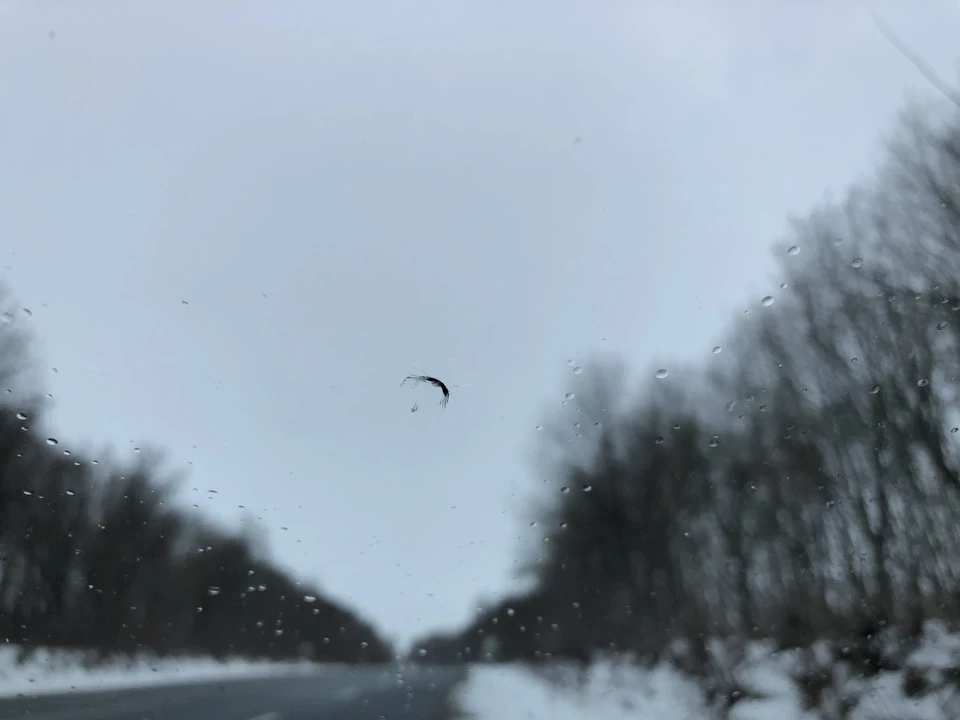 З'їздив до родичів на Різдво…