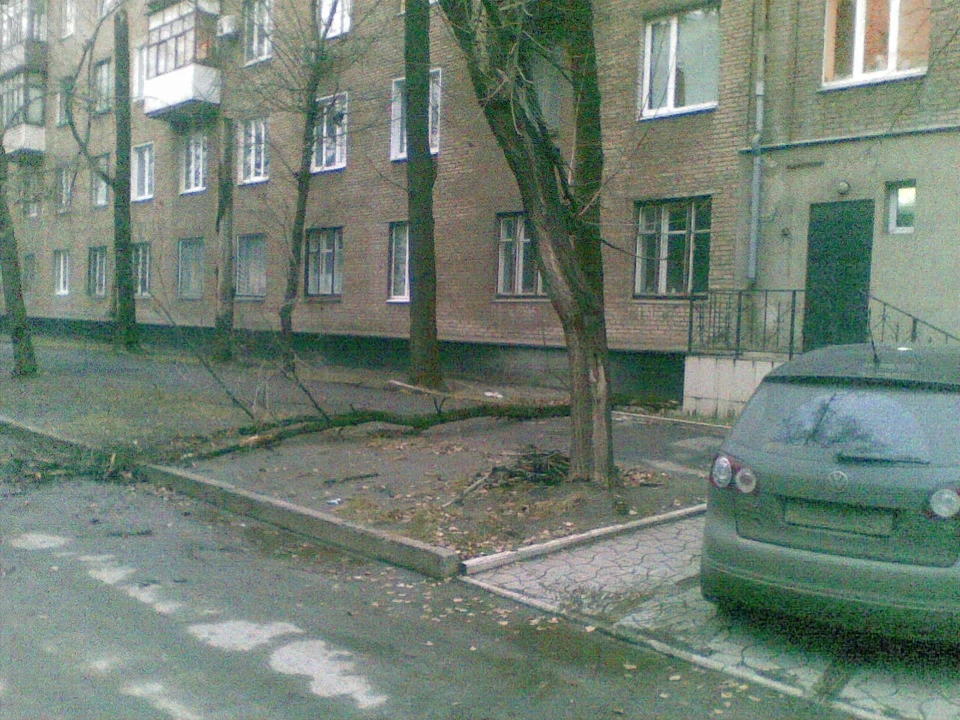просто пощастило