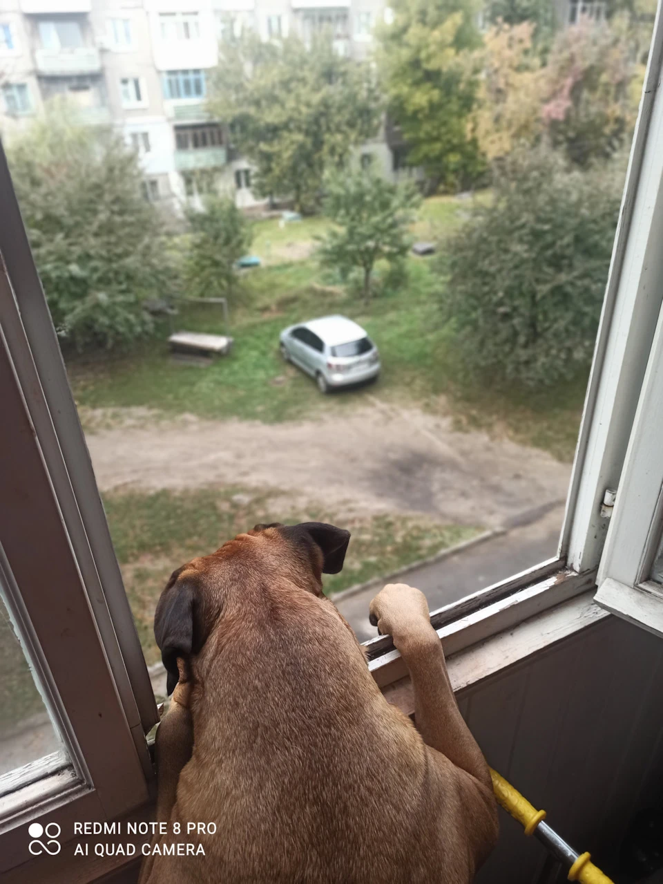 Нова сигналізація