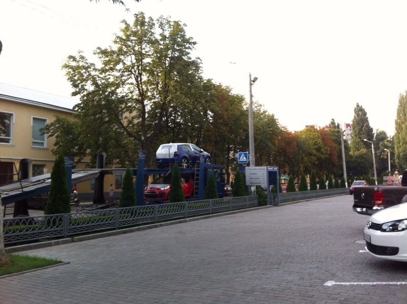 Перша зустріч! 1