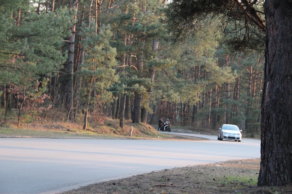 Весняні зміни 4