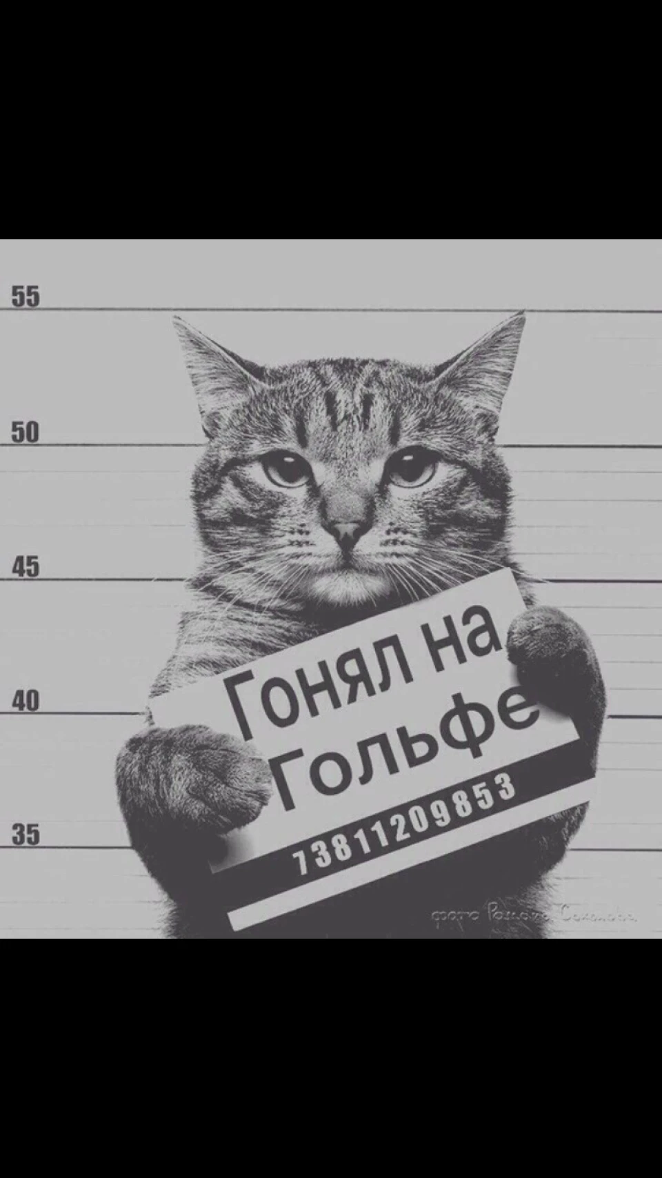 Вихлоп MTM
