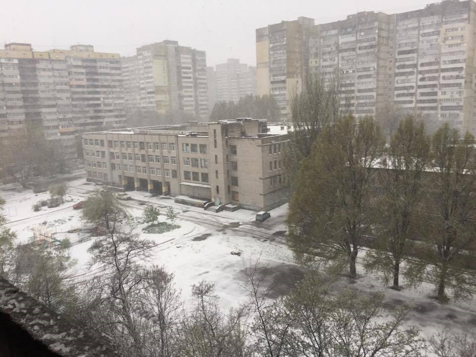 Той, що вижив 5