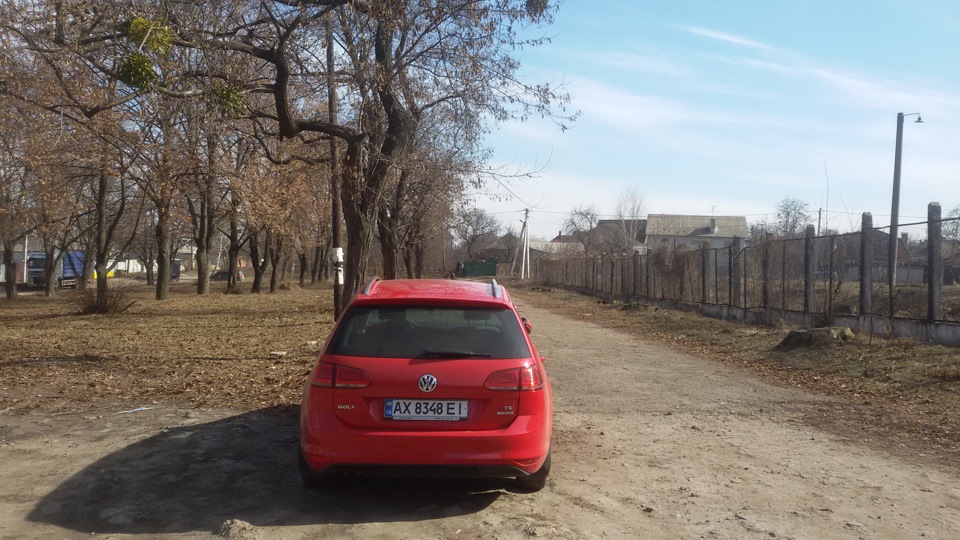 трохи фото під весняним сонцем 3