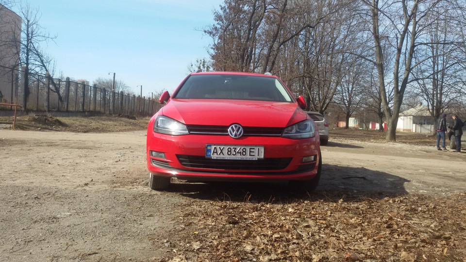 трохи фото під весняним сонцем 5
