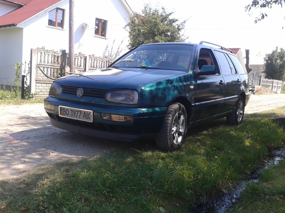 гольфик 1
