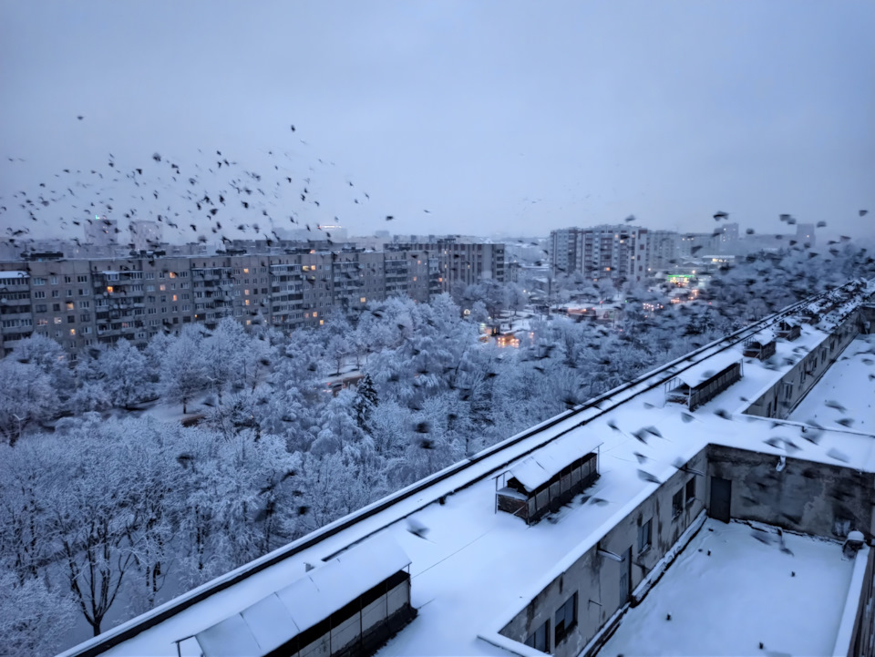 Зима прийшла, а з ним і ще одна ДТП дружини... 3