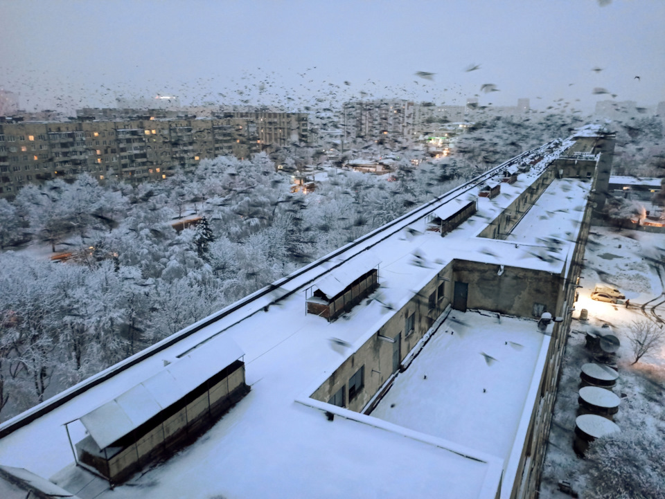 Зима прийшла, а з ним і ще одна ДТП дружини... 4