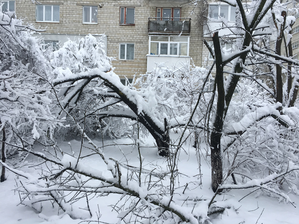 Зима 5