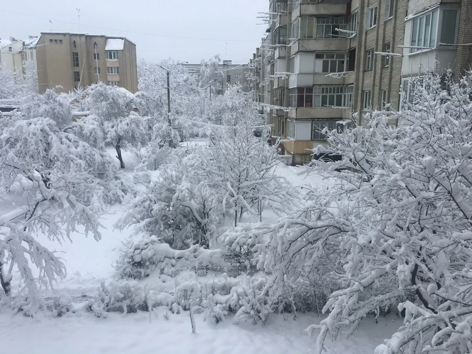 Зима