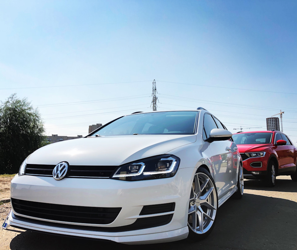 VAG family))) 1