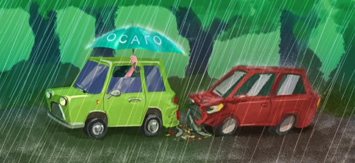 Страховка 1