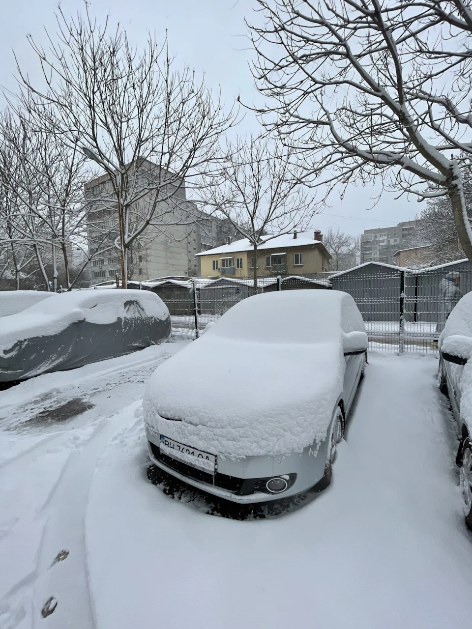 Наша перша зима ❄️🤍