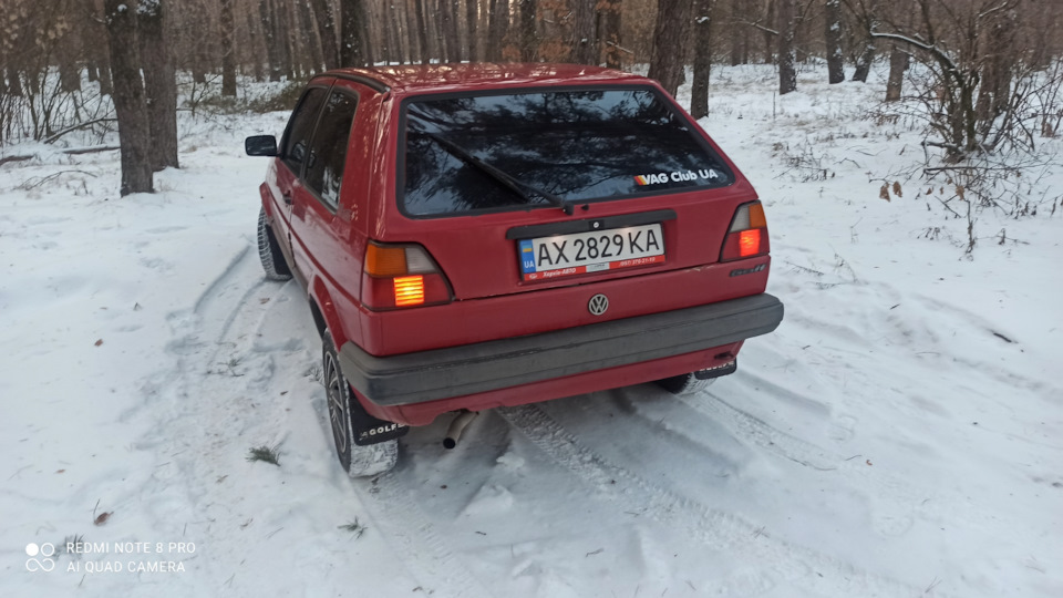 Зима в лісі 3
