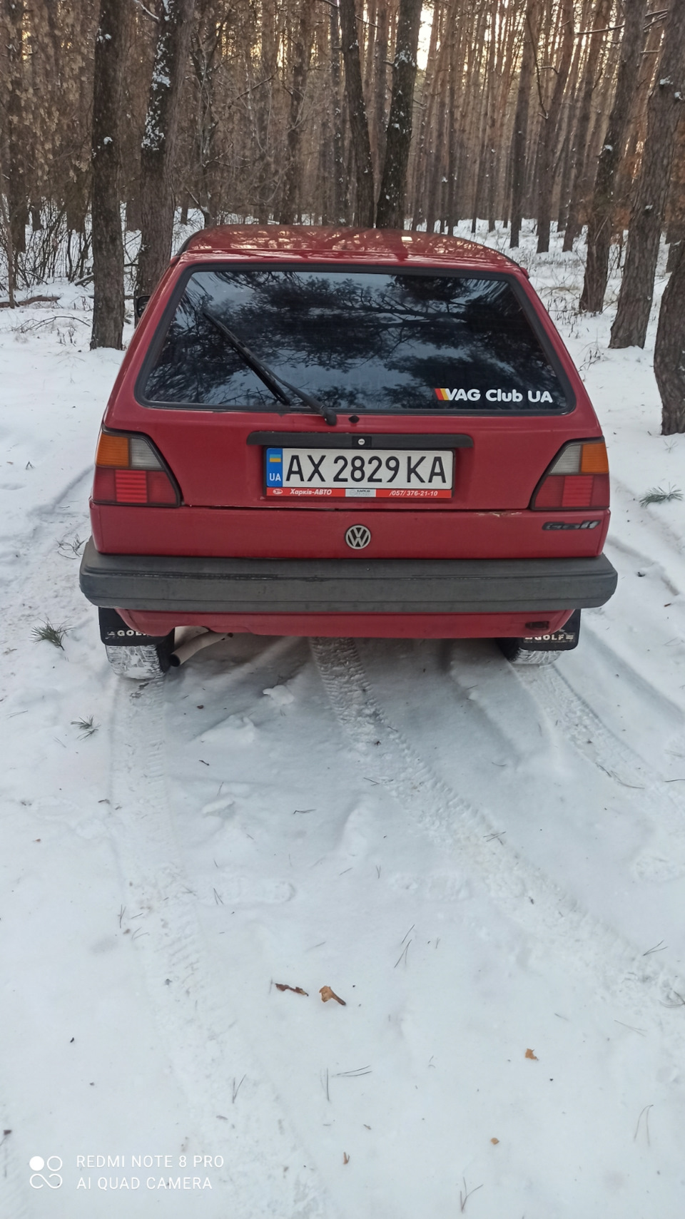 Зима в лісі 5