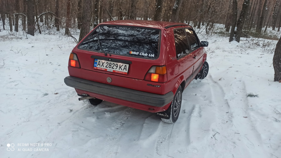 Зима в лісі 2