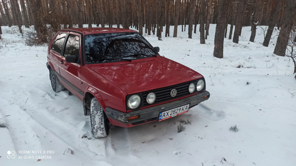 Зима в лісі 1