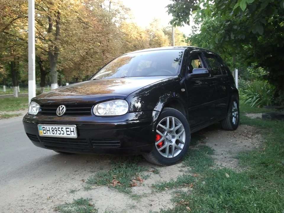 Фотки на літній гумі.