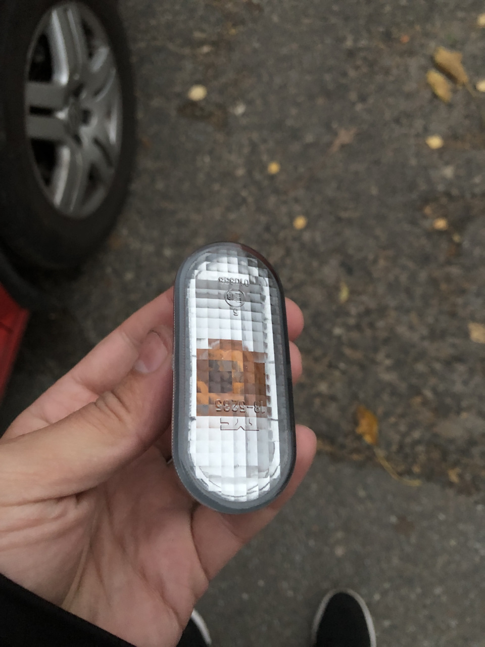 Акваріум у поворотниках крил 2