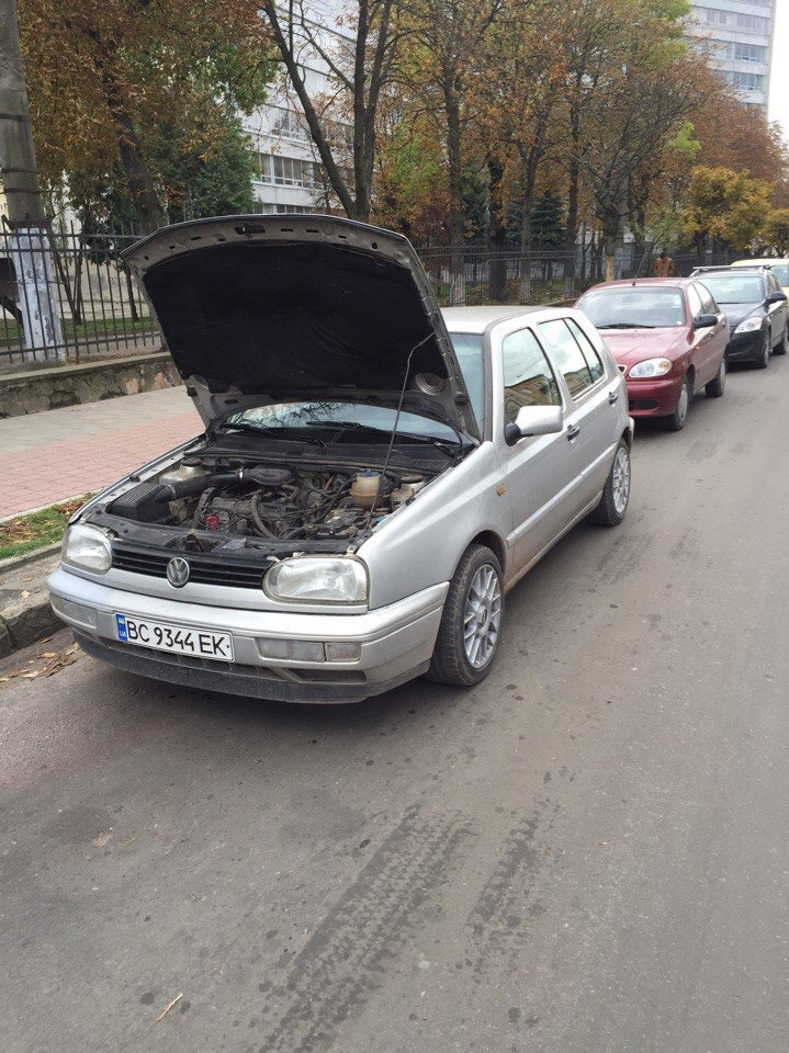 Капризний гольфик мені дістався) 1