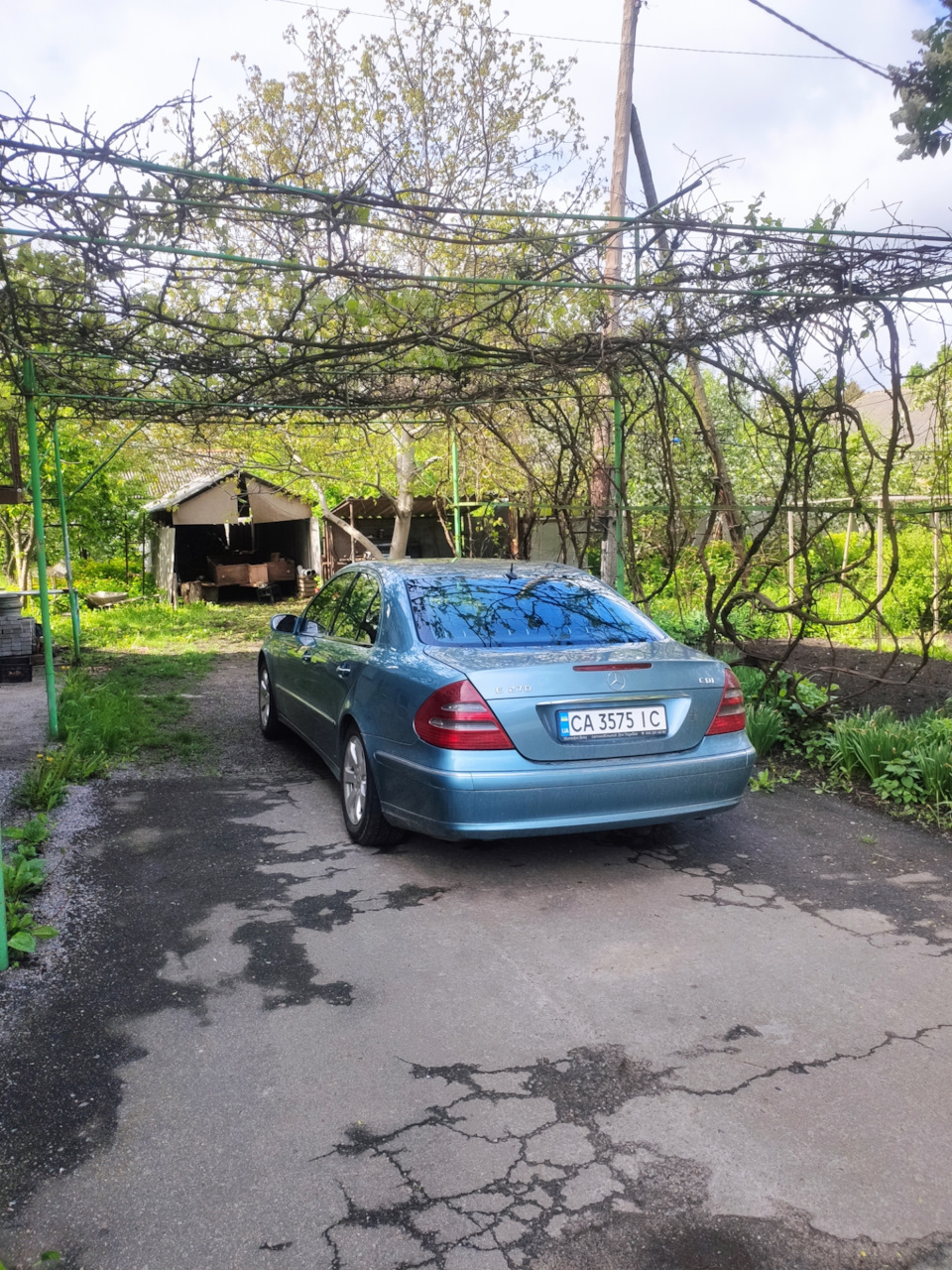 У Гольфіка з'явився братик) 2