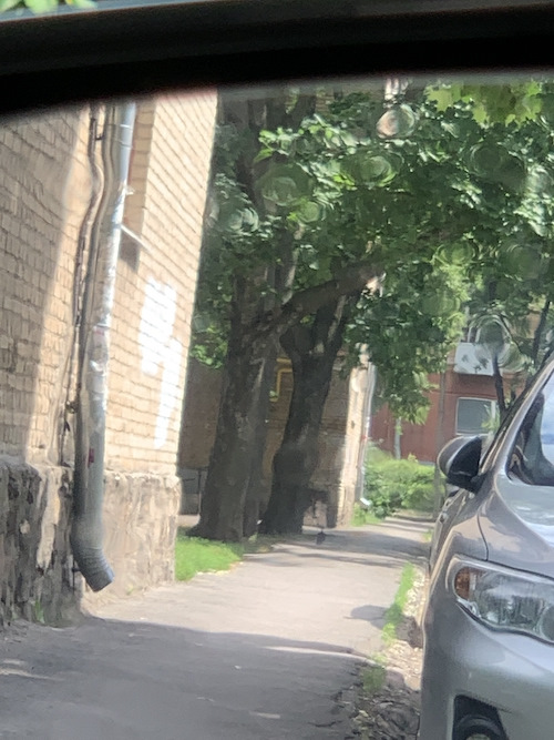 Водовідштовхувальна плівка на дзеркала. Це того варте? 3