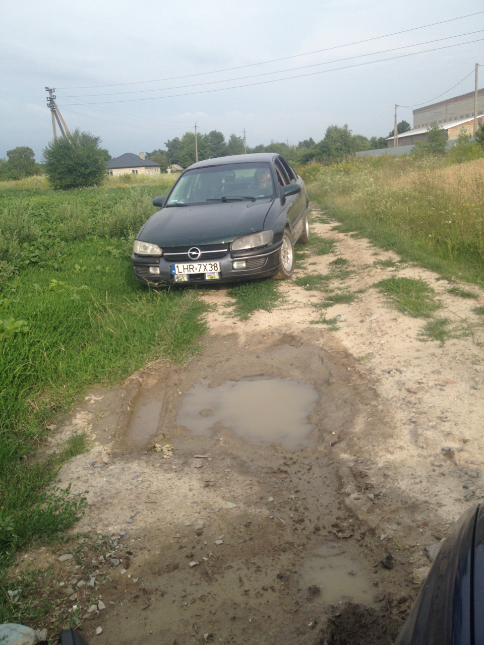 завіс на пузі 4