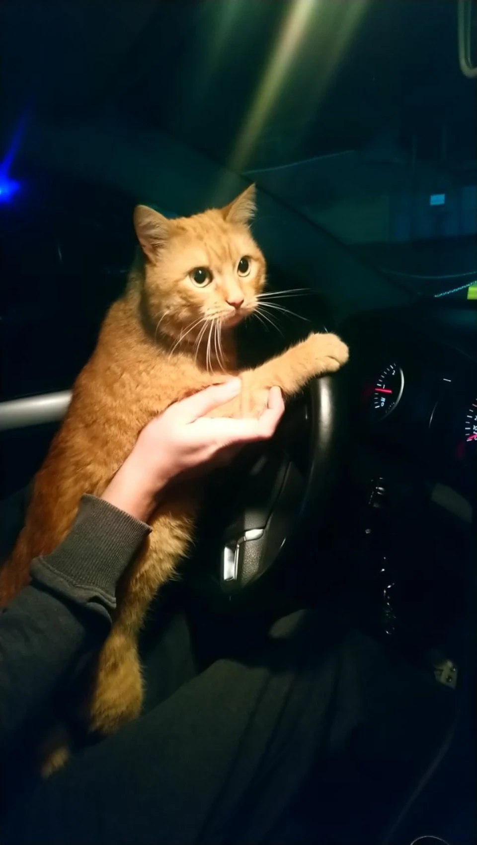 Покатушки)