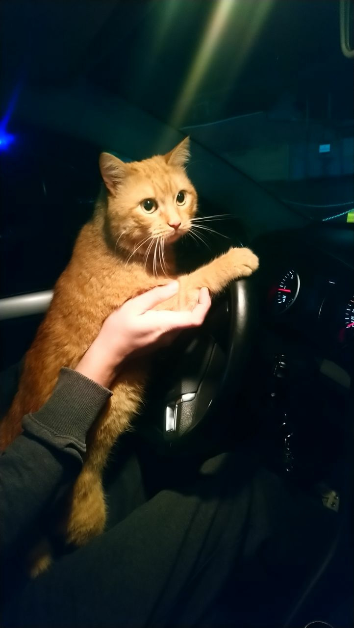 Покатушки) 1