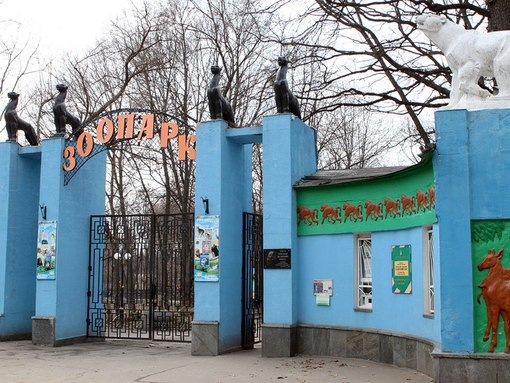 Після поїздки до Зоопарку 2