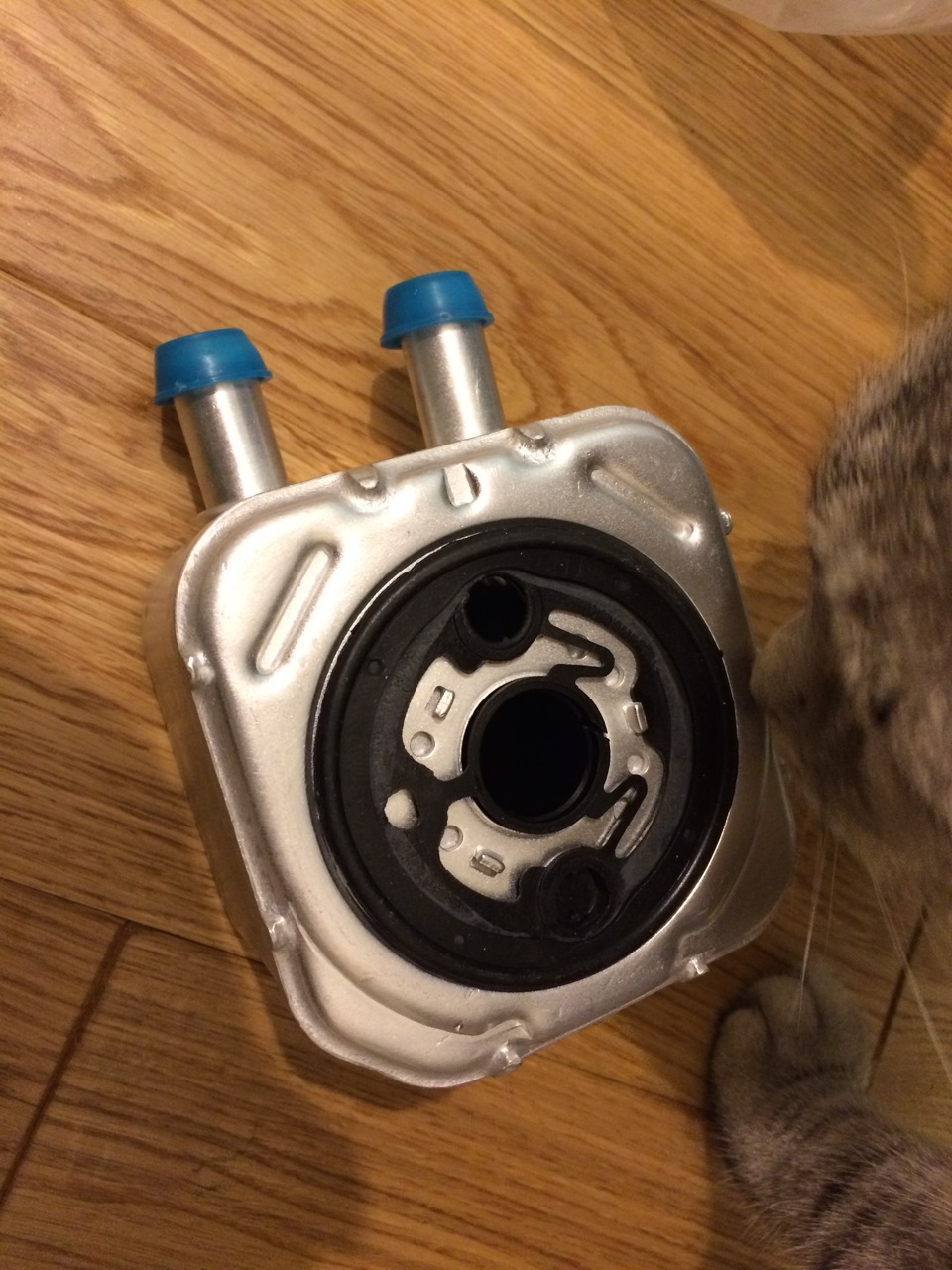 New 1.8T #8 - Intercooler CTS + Oil cooler from Audi S4 1