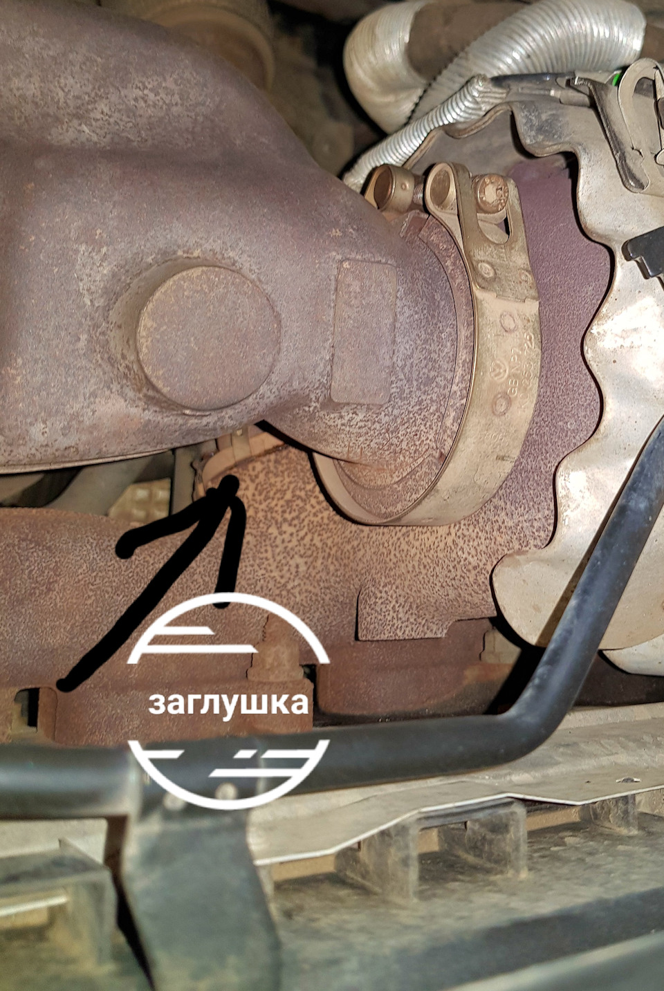 EGR 1