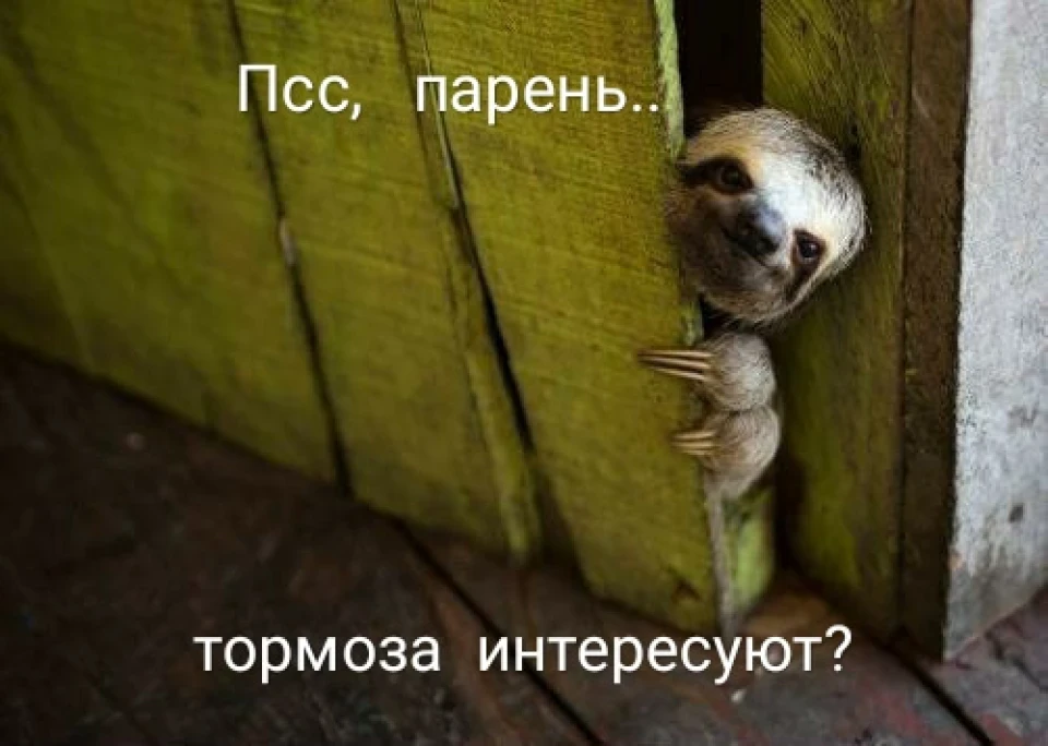 #8 ну і гальмо😕