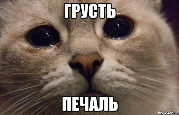 смуток-біда ... стартер 1